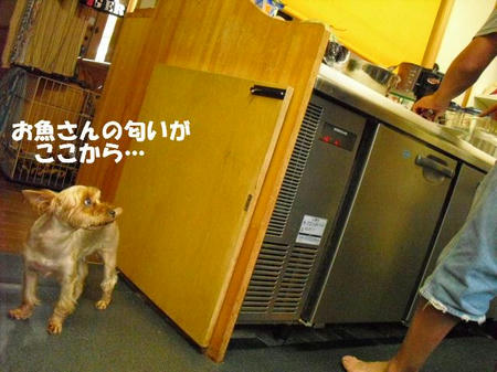 0356a93f.jpg