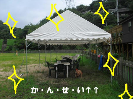5039d5d3.jpg