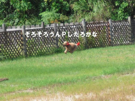 a68a7da7.jpg