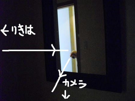 113704ea.jpg