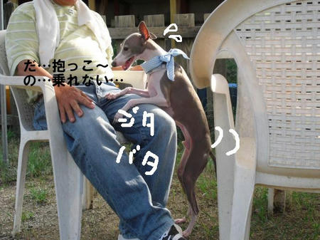 b0de922b.jpg