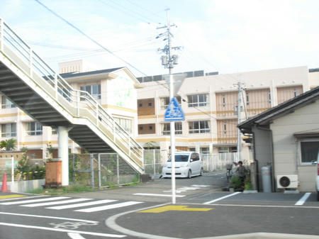 329f829a.jpg