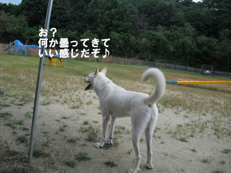 4f15acd5.jpg