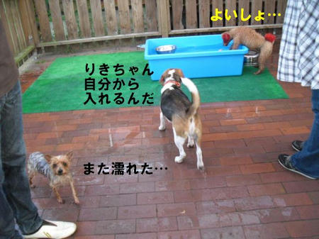 40324012.jpg
