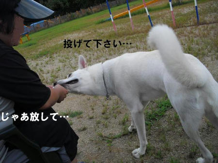 51164cbc.jpg