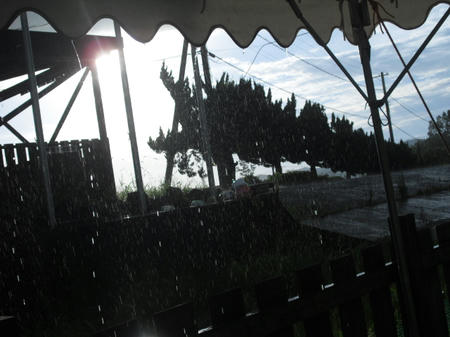 e3233b94.jpg