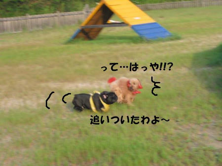 972efbbc.jpg