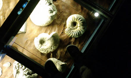 03750b67.jpg