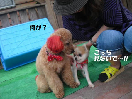 90f3d568.jpg