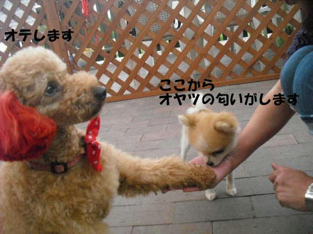 c4599c3a.jpg