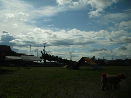 1273c9d9.jpg