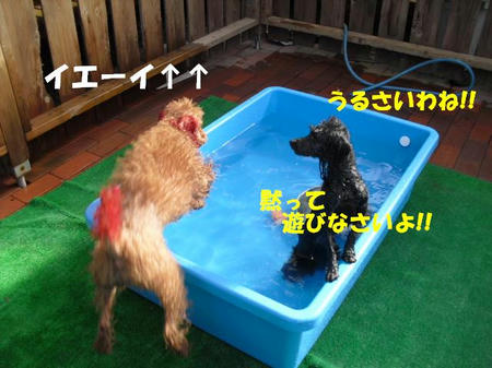 1bb21e00.jpg