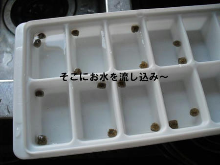90a763cb.jpg