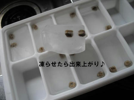 128039df.jpg