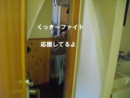 fa83a004.jpg