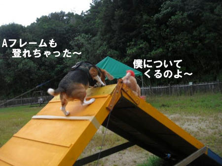 fbb4d701.jpg