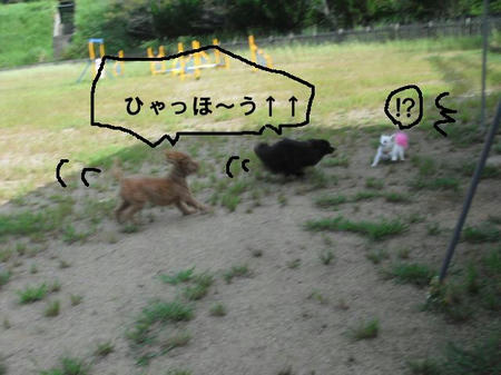 d8ab0db3.jpg