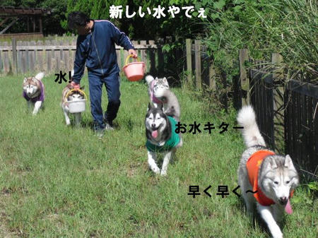 0a72ed00.jpg