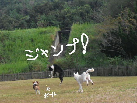 1a6ee0a4.jpg