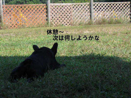 e6ff177c.jpg