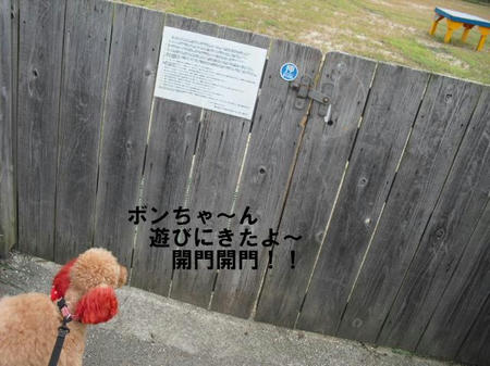 b6612e31.jpg