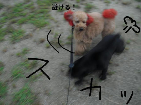 c8c5a74b.jpg