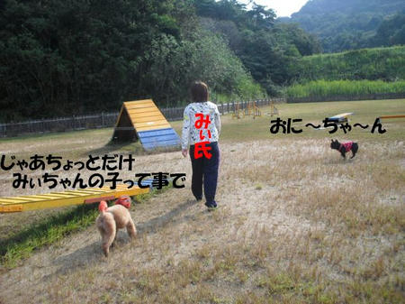 612e0d3a.jpg