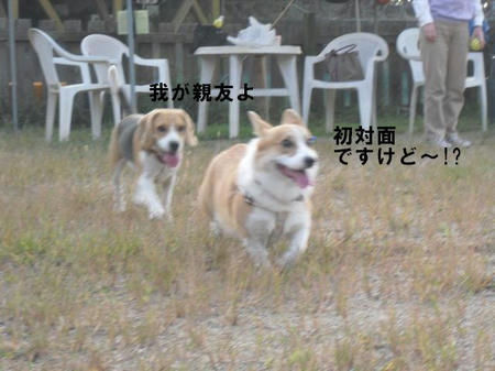 1f5b6d62.jpg