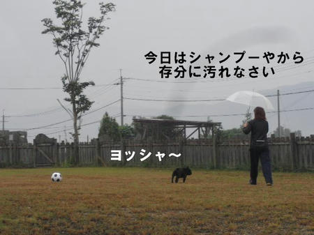 8b624a00.jpg