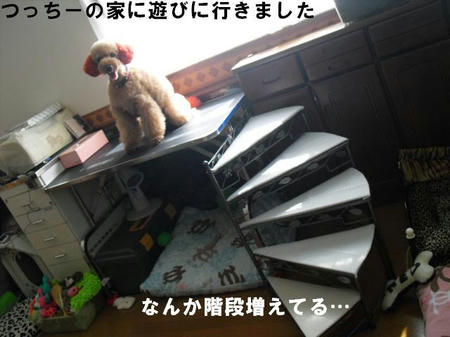 9f25c306.jpg