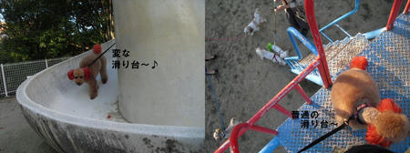 f3bdabc9.JPG