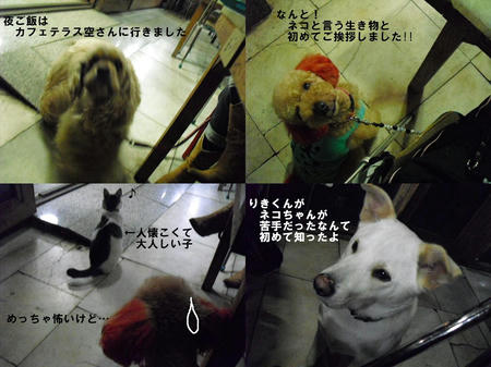 3b97a507.JPG