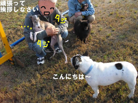 543d26af.jpg