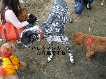 5bdbd7f8.jpg