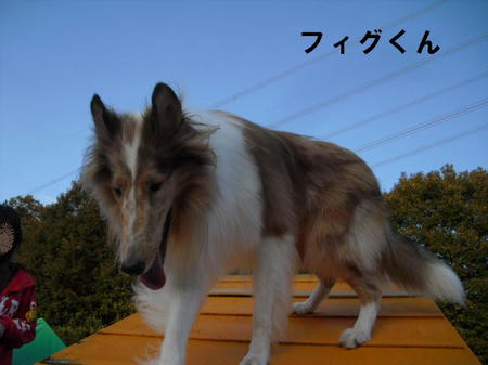 eb1ccb7f.jpg