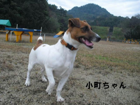 0cd656cc.jpg