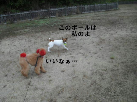 45c543ff.jpg