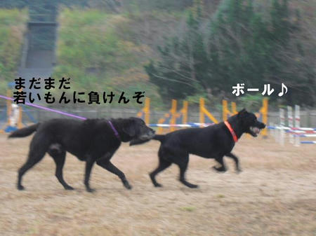 ae148aad.jpg