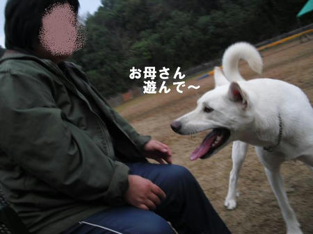 99daba8d.jpg