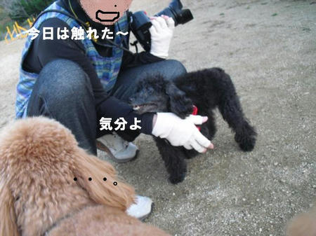 18a00177.jpg