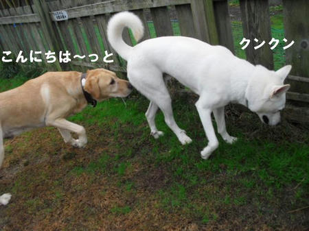1c8c95fb.jpg