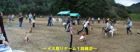 4f8b8d13.JPG