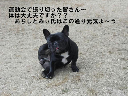8a093204.jpg