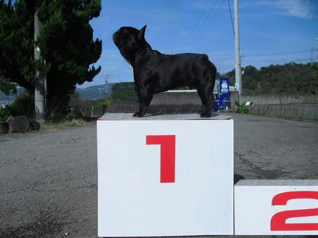 9fb388d8.JPG