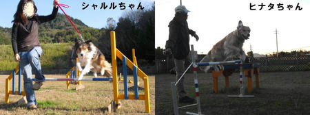 446ac972.JPG