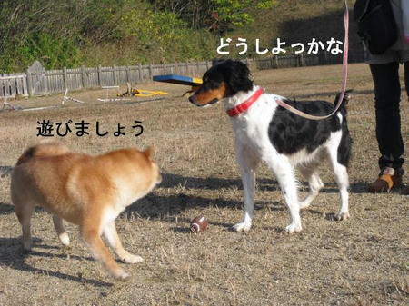 443a8a02.jpg