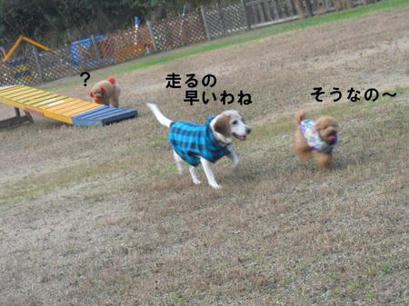 713545fd.jpg