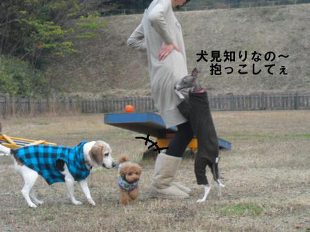 78a7f00b.jpg