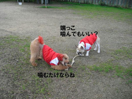 00d6ba73.jpg