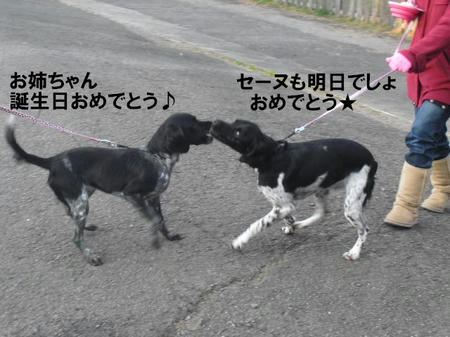 d0fa5866.jpg